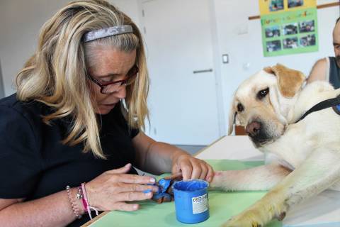 Centro Ocupacional Fundación Els Garrofers