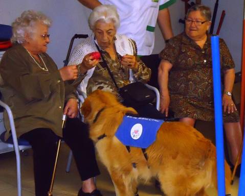 <p>La Residènicia Geriàtrica l'Albert es troba situada a la població de Tordera. És un centre residencial per a gent gran on existeixen diferents recursos assistencials.</p>