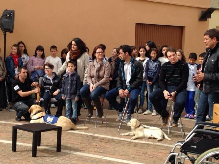 <p>El programa Divendres de Tv3 ens fa un reportatge per conèixer a Bescanó la història del Gerard Guerrero, el primer nen gironí amb autisme que conviu amb un gos d'assistència. Presentem alguns dels gossos de la fundació CRIT de Girona i expliquem com poden ajudar a les persones amb discapacitat.</p>