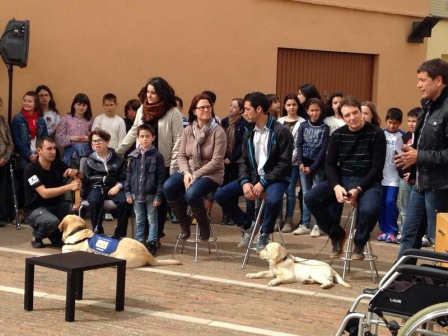 <p>El programa Divendres de Tv3 nos ha hecho un reportaje para conocer en Bescanó la historia de Gerard Guerrero, el primer niño con autismo de las comarcas de Girona que convive con un perro de asistencia. Presentamos algunos de los perros de la fundación CRIT de Girona y explicamos cómo pueden ayudar a las personas con discapacidad.</p>