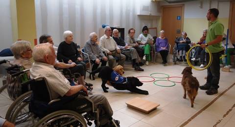 b0487-Reside--ncia-de-Gent-Gran-l-Albert2.JPG