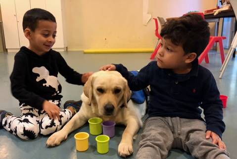 <p>La Escuela de Educación Especial Joan Riu es un centro educativo concertado con el Departamento de Educación de la Generalitat de Catalunya. Atienden a niños/as y adolescentes con discapacidad intelectual asociada o uno o más trastornos de diferentes tipologías: motrices, sensoriaeles, neurológicos, de salud o conductuales, de edades entre los tres y los dieciocho años. </p>