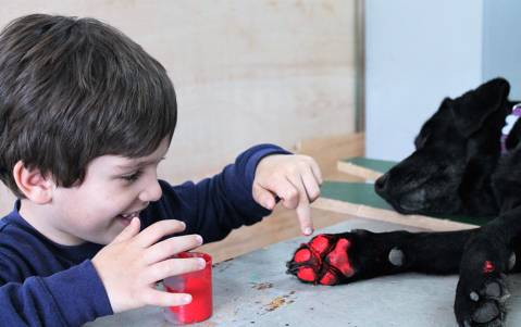 <p>El Centre d’Educació Especial Font de l’Abella es troba ubicat als afores de la ciutat de Girona. Es tracta d'un escola d'educació especial, assisteixen alumnes de tota la comarca del Gironès i part de les comarques del Baix Empordà i la Selva.</p>