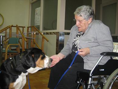 <p>La Residencia Maria Gay es un centro residencial para gente mayor donde existen diferentes recursos asistenciales. Los trastornos neurodegenerativos son las afectaciones que mayoritariamente presentan los usuarios, siendo la demencia la enfermedad de Alzheimer más frecuente.</p>