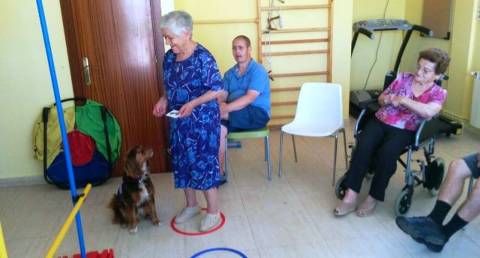 <p>La Residencia Asistida Pla de Martís, ubicada en el Baix Esponella, es un servicio dirigido a la gente mayor que ofrece atención las 24 horas del día, los 365 días del año.</p>