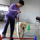3d791-IMG_1267.JPG